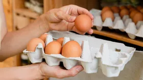Есть и по 30 рублей: почему в России внезапно подешевели яйца