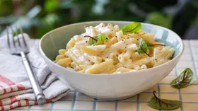 Рецепты с плавлеными сырами и со сливками