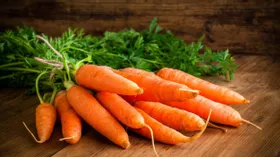 Какие ошибки при хранении моркови лучше не допускать, чтобы она дольше оставалась свежей, – советы эксперта