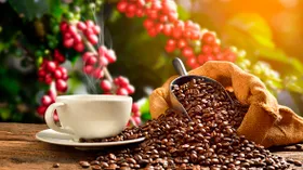 Степень обжарки кофе: что это значит, какой она бывает и можно ли обжаривать кофе дома