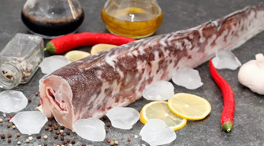 Рекомендуемая суточная норма потребления конгрио для взрослого человека составляет 150–200 г