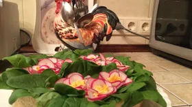 Простые рецепты с сухофруктами и морковью