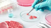 Свинина из пробирки: как ученые из Нидерландов создали сосиски в лаборатории и зачем нужен этот продукт