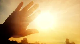 Не стоит есть в жару: диетолог назвала продукты, повышающие риск теплового удара