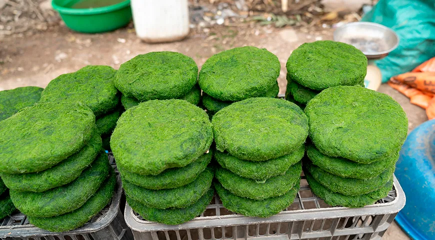 Уникальность спирулины — не столько во вкусе, сколько в ее химической архитектуре: 60–70% сухого веса здесь приходится на полноценный белок