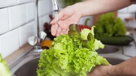 Обязательной мойте даже капусту, салат и зелень, чтобы избежать рисков