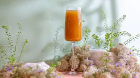 Шампанское с абрикосами