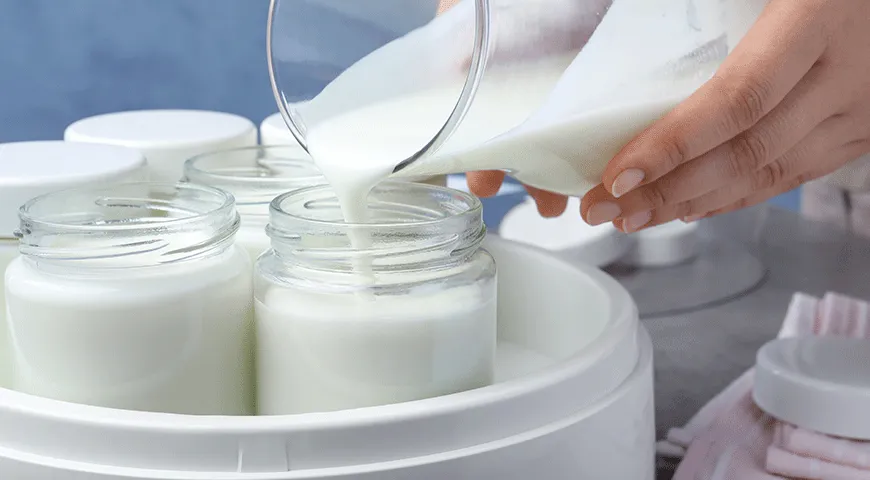 Современные ферментированные молочные продукты доступны каждому