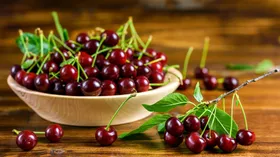 Польза и вред вишни для здоровья и красоты