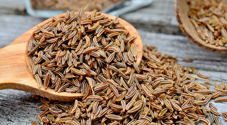 Европейский тмин узнается по удлиненным, изогнутым семенам буроватого цвета с явной ребристостью