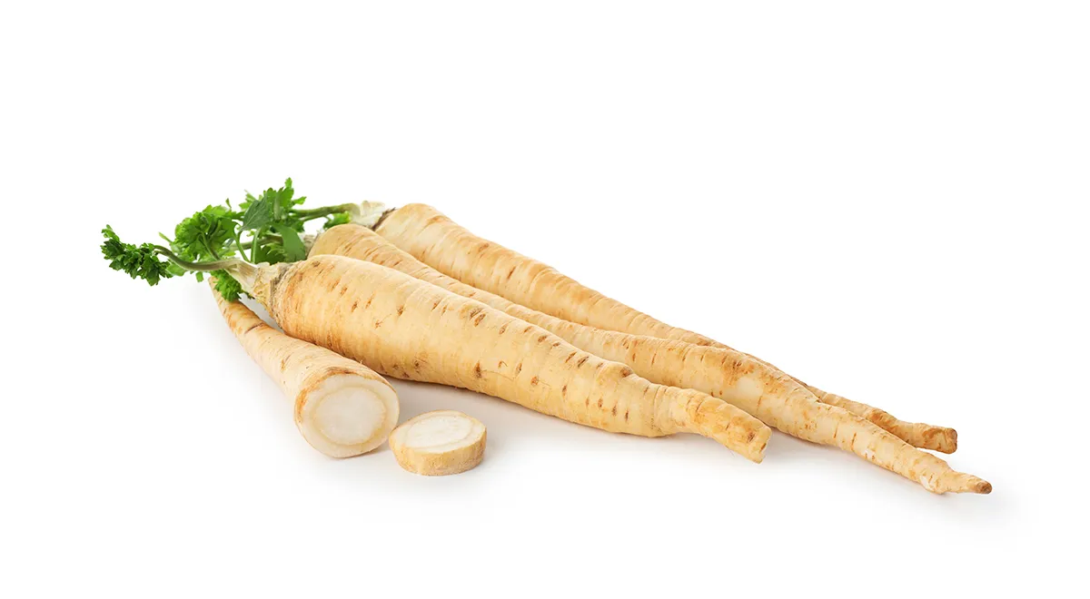 Корень петрушки
