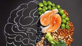 Ученые связали эффективность работы мозга с пищевыми предпочтениями: вегетарианство оказалось не лучшим выбором