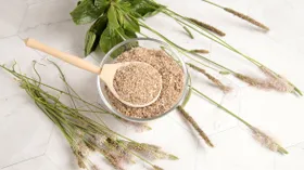 Псиллиум: как шелуха стала суперфудом