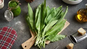 Черемша: что это за зелень, какой у нее вкус и что из нее приготовить весной